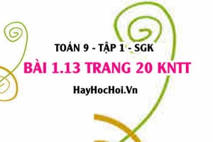Bài 1.13 trang 20 Toán 9 tập 1 Kết nối tri thức SGK